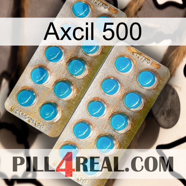 Axcil 500 new08.jpg